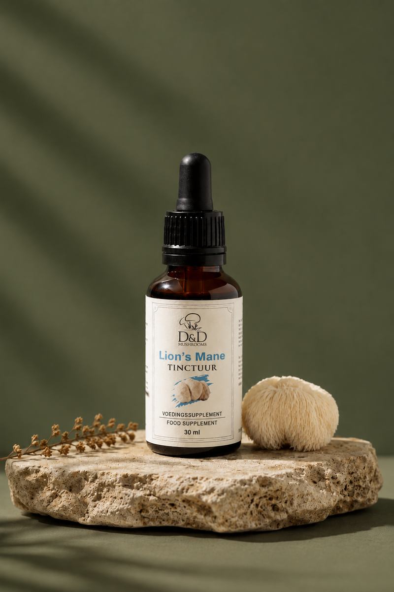 Lion’s Mane Tinctuur