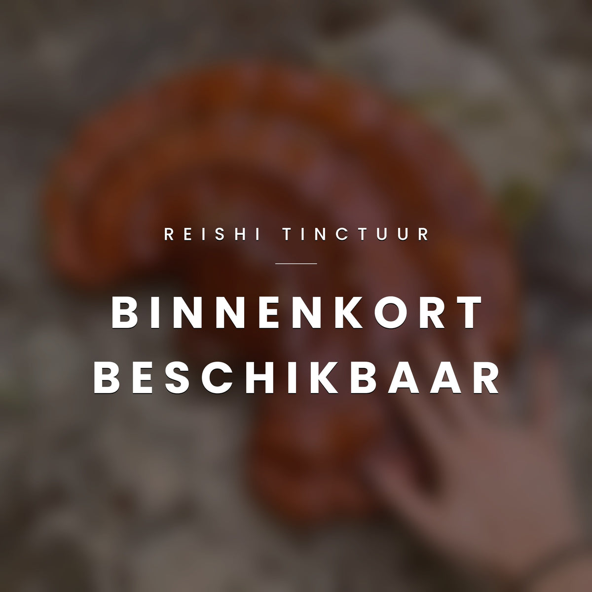 Reishi Tinctuur